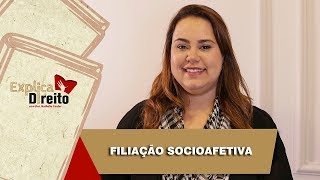 Explica Direito Filiação Socioafetiva  2019 [upl. by Eesdnil]