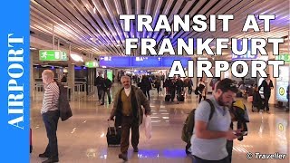 TRANSIT WALK AT FRANKFURT Airport FRA Terminal 1  Connection Flight Transfer Arriving amp Departing [upl. by Anaugahs440]